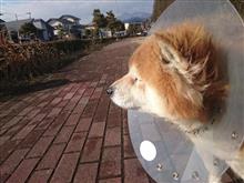 歳・・・だからな・・・