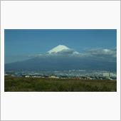 綺麗に見えました