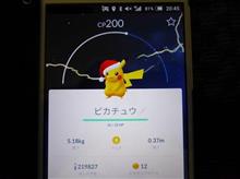 サンタピカチュウを捕また～