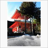 １２月１８日　忘年会♪
