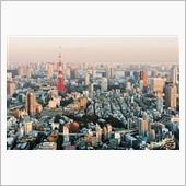 どうして東京は１３００万人も ...