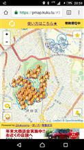 東京のポケモン事情