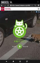 🐱猫バンバン