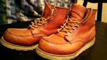 今年復活したモノ②　ＲＥＤＷＩＮＧ　８７５　ＩｒｉｓｈＳｅｔｔｅｒ
