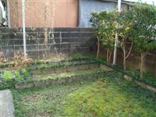 ☆　倉庫兼工房建設に向けて　パート３（ニラの収穫）