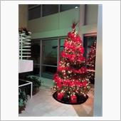  Xmas week
