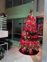 Xmas week