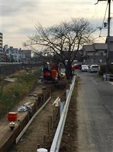 粋な事 粋な事
