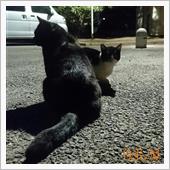 黒Ⅲと再開｡｡｡(^◇^;)