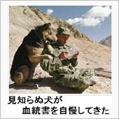 どーでもええコダワリ。。(」 ...