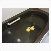 昨日は．．．