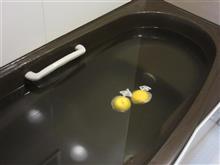 昨日は．．．