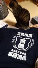 面白Ｔシャツ