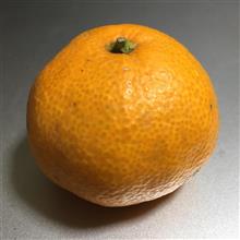 みかん