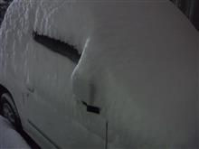 また大雪・・・