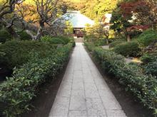 まだ早い？かな