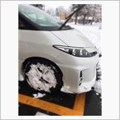 新種発見・・・笑