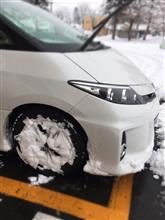 新種発見・・・笑