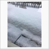 ドカ雪！今年の雪は異常気象で ...