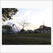 夕方の公園