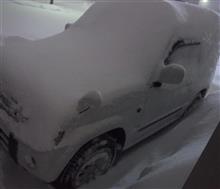さらに大雪・・・