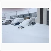 駐車場から出られんのよー