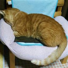 お久しぶりです お久しぶりです