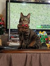 ★メリークリスマス!! ★メリークリスマス!!