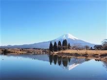 富士山とゆずさんと…お散歩日記 富士山とゆずさんと…お散歩日記