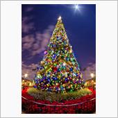 クリスマスに振り返り、、、、、