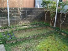 ☆　倉庫兼工房建設に向けて　パート５　（花壇の解体） 