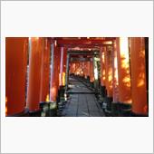 京都トレイル
