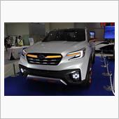 TMF2016.9 VIZI ...