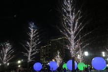 （渋谷区・千代田区・港区）12/24　都心イルミネーションめぐり