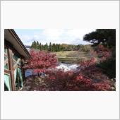 京風味な庭園に寄り道(^^