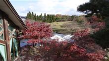 京風味な庭園に寄り道(^^