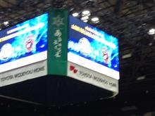 Ｂリーグ 栃木ブレックス盛り上がってます