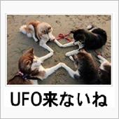 計画は失敗に終わった。。&quot;( ...