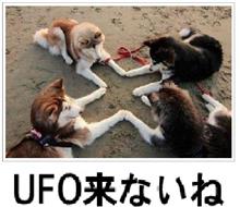 計画は失敗に終わった。。"(/へ＼*)"))ｳｩ､ﾋｯｸ。。　 　ダイエット3年と267日