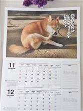 赤、白、黒、さて残る暦はあと４日だね♪