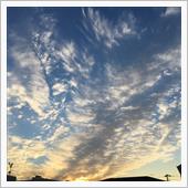 晴れてる空が好き