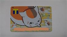 にゃんこに勝てず