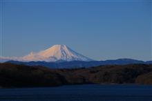 2016年鳥撮り納めと大晦日狭山湖夕景 