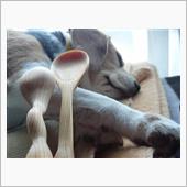 兎に角眠かった｡｡｡(^◇^ ...