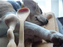 兎に角眠かった｡｡｡(^◇^;)