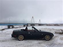 1年間、ありがとうございました! 1年間、ありがとうございました!