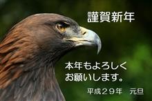 あけましておめでとうございます