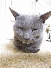 あけましておめでとうございます