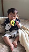 今年も宜しくお願い致しますm(_ _)m