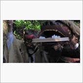 お獅子も